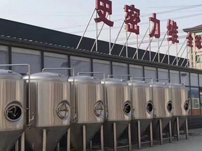 徽州精酿啤酒设备厂—如何判断精酿啤酒设备的密封件需要更换？